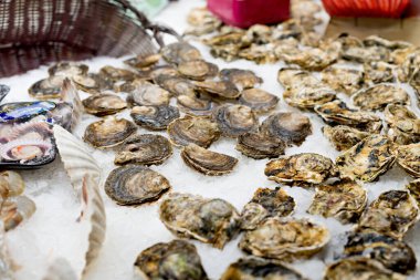 Akdeniz 'in Tatları: Sağlıklı Akdeniz Mutfağını Sarmak