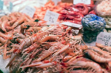 Akdeniz 'in Tatları: Sağlıklı Akdeniz Mutfağını Sarmak