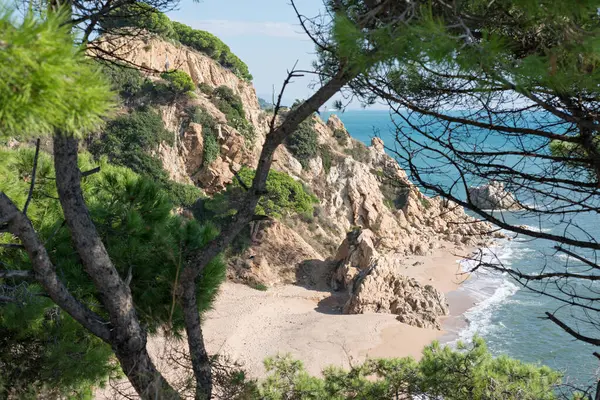 Büyülü Kıyılar: Kosta Brava 'nın büyüleyici manzarası (Girona - İspanya)