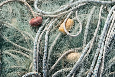 Yankılanan Hasat: Aşırı Balıkçılık ve Sınırlı Kaynaklar Uçurumunda Gezinmek