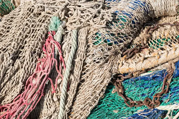 Yankılanan Hasat: Aşırı Balıkçılık ve Sınırlı Kaynaklar Uçurumunda Gezinmek