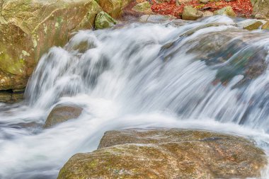 Doğanın Çözülen Sınırları: İklim Değişikliği ve Kuraklık Gerçekleri