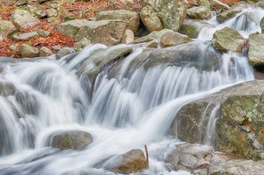 Doğanın Çözülen Sınırları: İklim Değişikliği ve Kuraklık Gerçekleri