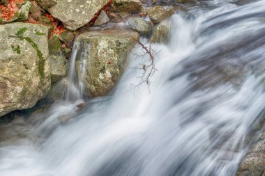 Doğanın Çözülen Sınırları: İklim Değişikliği ve Kuraklık Gerçekleri