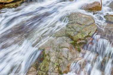 Doğanın Çözülen Sınırları: İklim Değişikliği ve Kuraklık Gerçekleri