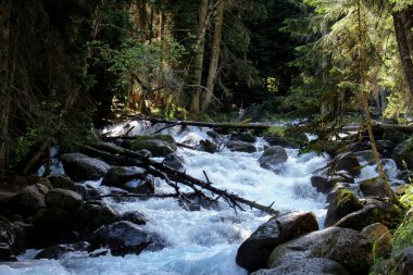 Dağdaki Hızlı Akıntı. Forest River Dağı. Kızgın Nehir.