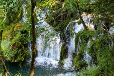Güzel Doğa. Parktaki şelaleler. Gölün berrak suyu. Şelale Şelalesi. Plitvice Gölleri Ulusal Parkı.