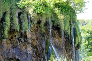 Güzel Doğa. Parktaki şelaleler. Gölün berrak suyu. Şelale Şelalesi. Plitvice Gölleri Ulusal Parkı.