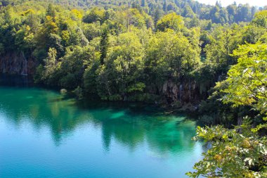Güzel Doğa. Parktaki şelaleler. Gölün berrak suyu. Şelale Şelalesi. Plitvice Gölleri Ulusal Parkı.