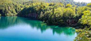Güzel Doğa. Parktaki şelaleler. Gölün berrak suyu. Şelale Şelalesi. Plitvice Gölleri Ulusal Parkı.