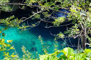 Küçük Irmak Ormanı. Orman Şelaleleri. Kristal berrak su. Parktaki Şelaleler Şelalesi. Güzel Doğa. Plitvice Gölleri Ulusal Parkı.