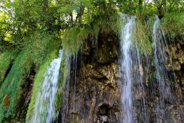 Güzel Doğa. Parktaki şelaleler. Gölün berrak suyu. Şelale Şelalesi. Plitvice Gölleri Ulusal Parkı.