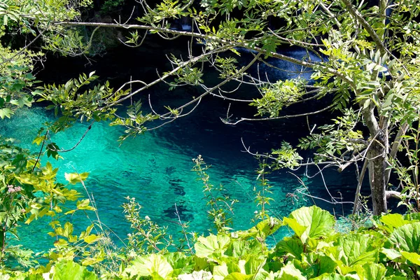 Küçük Irmak Ormanı. Orman Şelaleleri. Kristal berrak su. Parktaki Şelaleler Şelalesi. Güzel Doğa. Plitvice Gölleri Ulusal Parkı.
