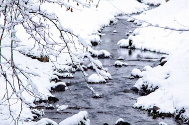 Kış Ormanı Akıntısı. Kar ve Akıntılı Kış Ormanı Sahnesi. Soğuk berrak su akıntısı. Kar yığınları ve orman ağaçlarıyla kış manzarası. Kış. Karlı Orman. 