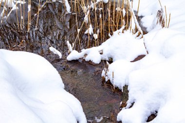 Kış Ormanı Akıntısı. Kar ve Akıntılı Kış Ormanı Sahnesi. Soğuk berrak su akıntısı. Kar yığınları ve orman ağaçlarıyla kış manzarası. Kış. Karlı Orman. 