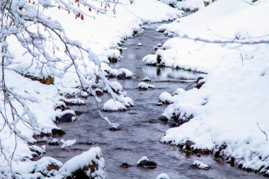 Kış Ormanı Akıntısı. Kar ve Akıntılı Kış Ormanı Sahnesi. Soğuk berrak su akıntısı. Kar yığınları ve orman ağaçlarıyla kış manzarası. Kış. Karlı Orman. 