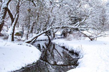 Kış Ormanı Akıntısı. Kar ve Akıntılı Kış Ormanı Sahnesi. Soğuk berrak su akıntısı. Kar yığınları ve orman ağaçlarıyla kış manzarası. Kış. Karlı Orman. 