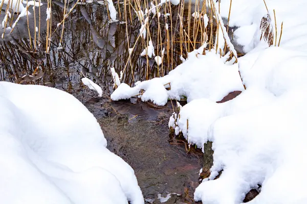 Kış Ormanı Akıntısı. Kar ve Akıntılı Kış Ormanı Sahnesi. Soğuk berrak su akıntısı. Kar yığınları ve orman ağaçlarıyla kış manzarası. Kış. Karlı Orman. 