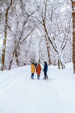 Kış aktiviteleri. Açık havada Kış Eğlencesi. Aileler ve çocuklar. Tepeden kayıyor. Kış Manzarası