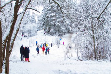 Kış aktiviteleri. Açık havada Kış Eğlencesi. Aileler ve çocuklar. Tepeden kayıyor. Kış Manzarası