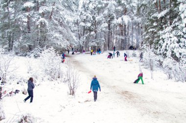 Kış aktiviteleri. Açık havada Kış Eğlencesi. Aileler ve çocuklar. Tepeden kayıyor. Kış Manzarası