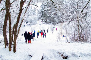 Kış aktiviteleri. Açık havada Kış Eğlencesi. Aileler ve çocuklar. Tepeden kayıyor. Kış Manzarası