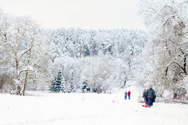 Kış aktiviteleri. Açık havada Kış Eğlencesi. Aileler ve çocuklar. Tepeden kayıyor. Kış Manzarası