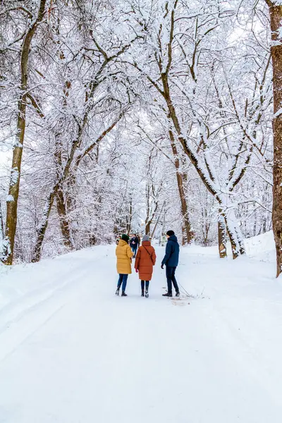 Kış aktiviteleri. Açık havada Kış Eğlencesi. Aileler ve çocuklar. Tepeden kayıyor. Kış Manzarası