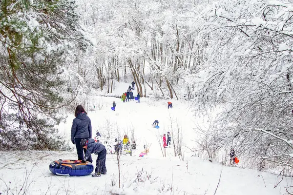 Kış aktiviteleri. Açık havada Kış Eğlencesi. Aileler ve çocuklar. Tepeden kayıyor. Kış Manzarası