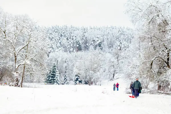 Kış aktiviteleri. Açık havada Kış Eğlencesi. Aileler ve çocuklar. Tepeden kayıyor. Kış Manzarası