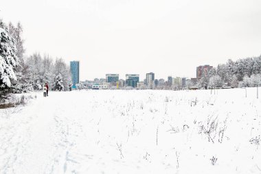Kış yürüyüşü Yürüyen çiftler. Kış karı. Kış Filmleri. Yürüyen çiftler. Kış Manzarası.