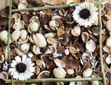 Kurumuş kokulu çiçekler, bitkiler ve çiçekler yapmak için kurumuş çiçekler.