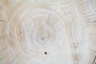 eski ahşap zemin ya da ahşap zemin, ahşap zemin