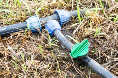 Bahçede su vanası, endüstriyel su vanası.