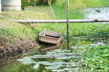 Bahçedeki küçük tekne.