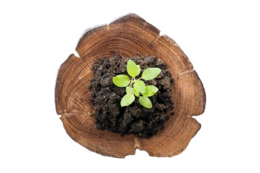 Mühendis çalışıyor, mühendis çalışıyor.