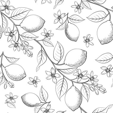 Lemon seamless pattern . Fruit, leaf and flowers