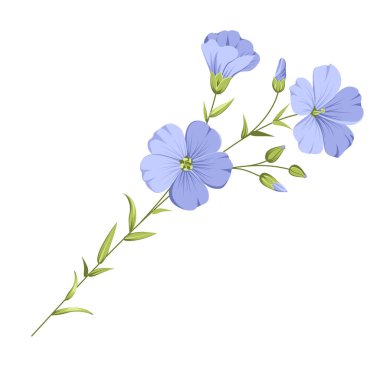 Vector illustration linen flowers. Isolated white background. Individual elements drawn flax