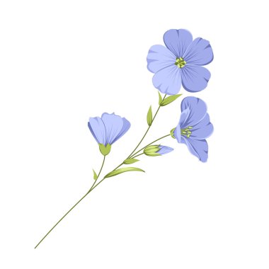 Vector illustration linen flowers. Isolated white background. Individual elements drawn flax