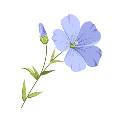 Vector illustration linen flowers. Isolated white background. Individual elements drawn flax