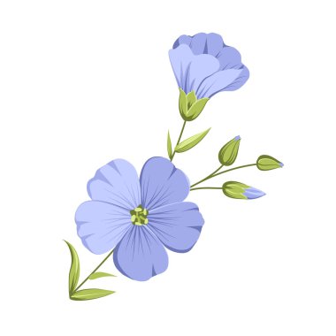 Vector illustration linen flowers. Isolated white background. Individual elements drawn flax