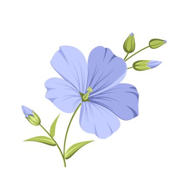 Vector illustration linen flowers. Isolated white background. Individual elements drawn flax
