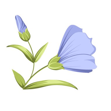 Vector illustration linen flowers. Isolated white background. Individual elements drawn flax