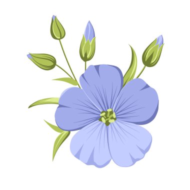 Vector illustration linen flowers. Isolated white background. Individual elements drawn flax