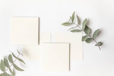 Yazın düzenlenmiş düğün masaüstü kırtasiyesi modeli. Boş bir tebrik ve davetiye kartı. Boş alanlı yeşil tropikal yapraklar