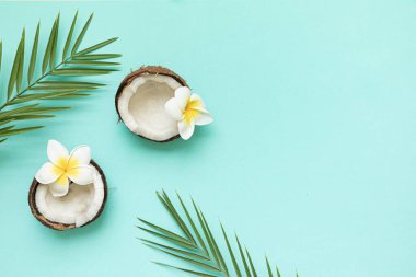 Hindistan cevizi ve palmiye yapraklı tropikal arkaplan