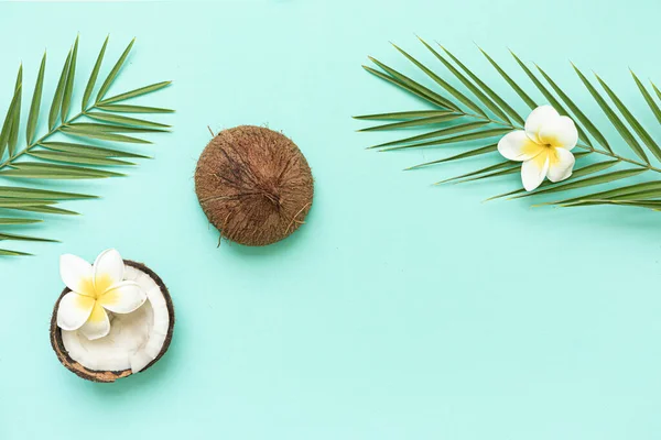 Tropical background with coconut and palm leaves