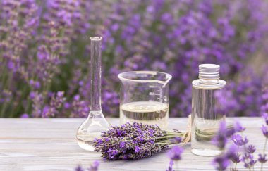 Kehribar lavanta yağı şişesi. Provence 'deki Violet lavanta tarlası