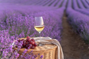 Lavanta tarlasında bir bardak beyaz şarap. Arka planda mor çiçekler