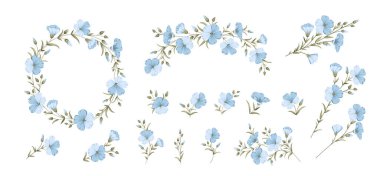 Vector illustration linen flowers. Isolated white background. Individual elements drawn flax